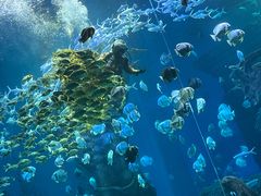 -哈尔滨波塞冬海底世界