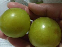 -呼吸森林·生态农庄农家乐私房菜