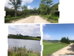 -东庄海岸高尔夫俱乐部