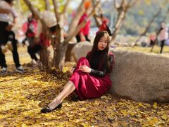 -千年银杏谷文化旅游区