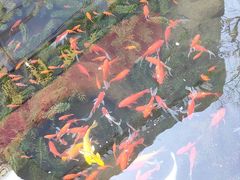 -泉乐坊步行街(烟酒特产平价超市店)