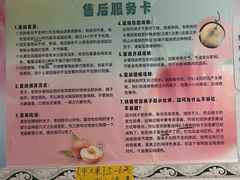 -老袁家蜜桃农场·阳山水蜜桃