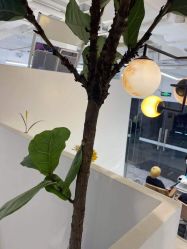 -I+造型烫发染发