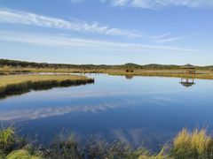 -塞罕坝国家级自然保护区