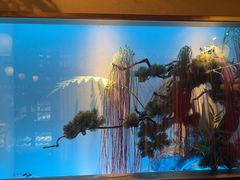 -牛New寿喜烧(金茂览秀城店)