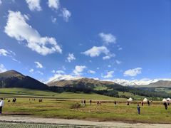 -新疆那拉提国家旅游度假区