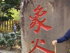 -野象谷景区
