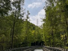 -福道