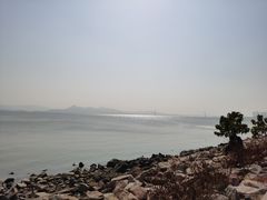 -深圳湾公园(南山区)