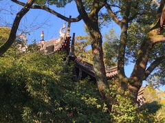 -天一阁博物院