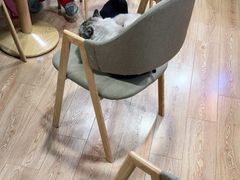 -白兔子密室(长寿路店)