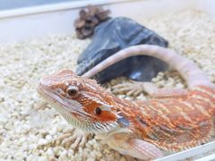 -打趸BTC·Breaktime cafe(北京路店)