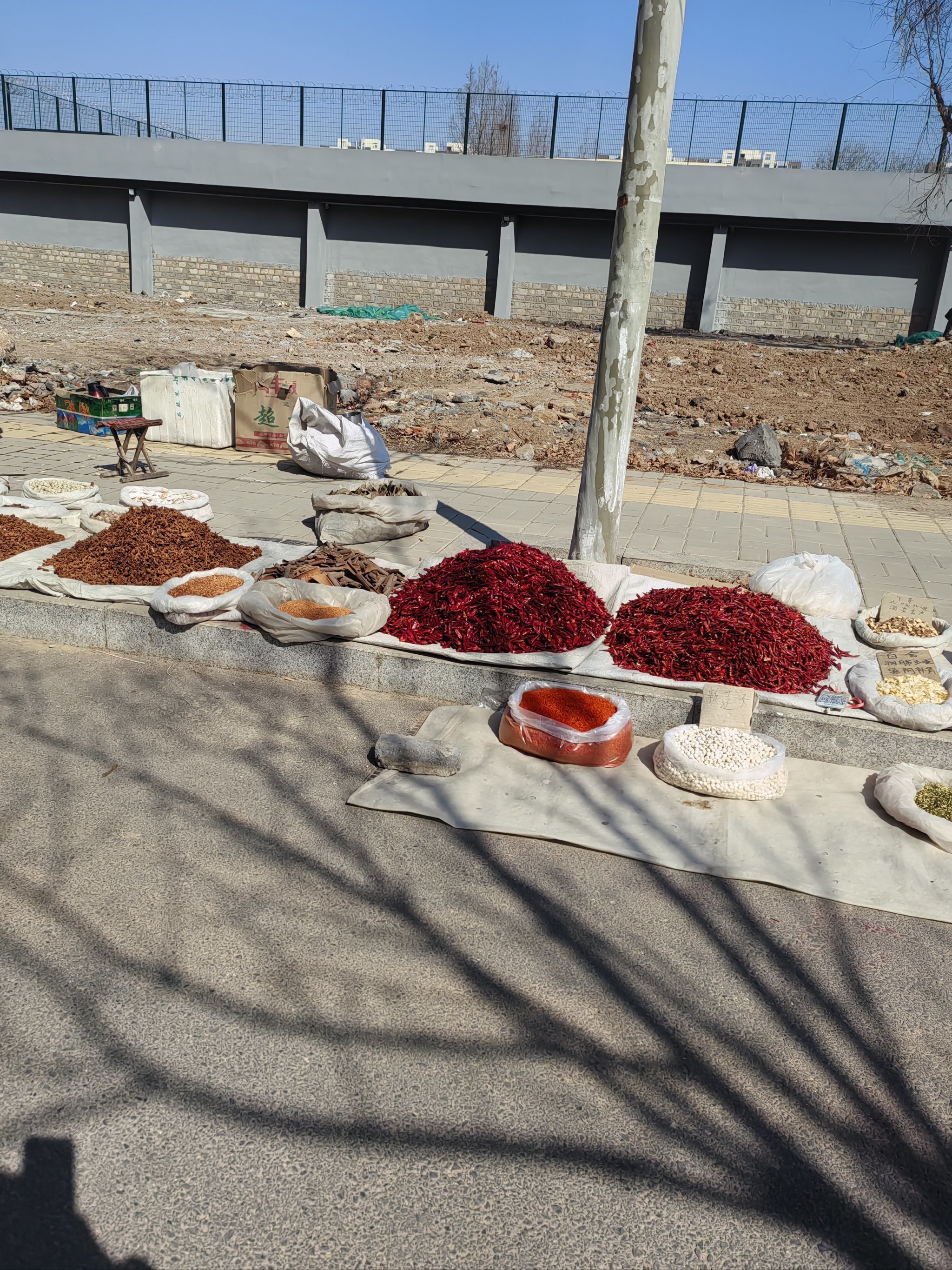 快去赶滩头大集