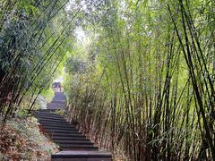 -神龙峡风景区