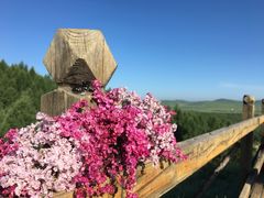 -塞罕坝国家级自然保护区