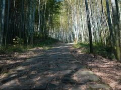 -龙坞茶村