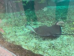 -广州海洋馆