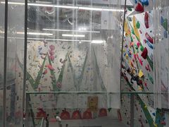 -绿壁虎攀岩基地(Tcar店)