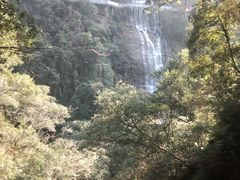 -九龙江国家森林公园