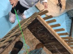 -嘉兴海底世界