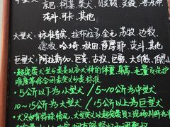 -超宠爱宠物摄影-Super pet