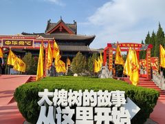 -大槐树寻根祭祖园