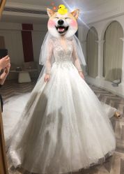 -艾朵婚纱