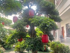 -聚福宝合苑食府(南头镇店)