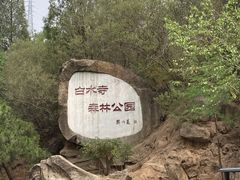 -白水寺森林公园