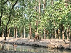 -溱湖国家湿地公园