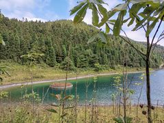 -武陵山森林公园