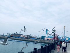 -大连圣亚海洋世界
