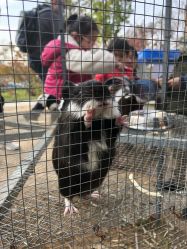 -萌宠亲子动物乐园(槐房万达店)