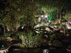 -绿光森林餐厅