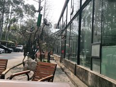 -桉树林A coffee 森林餐厅(三圣乡店)