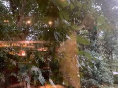 -Ginger(兴国路店)