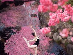 -理想国摄影(三塔店)