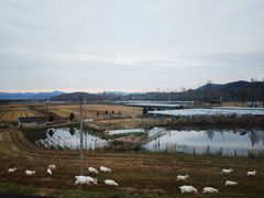 -四明山国家森林公园