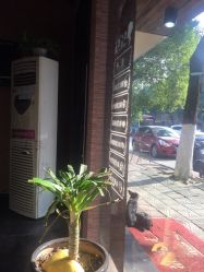 -茶发Salon·烫发染发理发