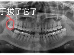 -瑞尔齿科(颐堤港诊所)