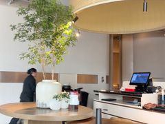 -柴门·头啖汤(天安千树店)