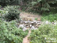 -抱龙峪