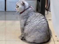 -Oasis绿洲银饰珍珠手作diy(壹方城店)