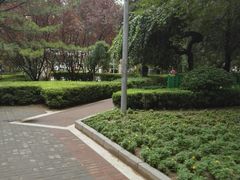 -双榆树公园