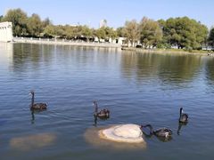 -长春世界雕塑园冰雪艺术天地