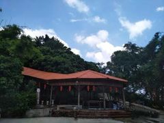 -鲤鱼塘农家山庄