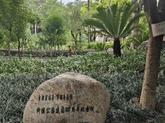 -柳侯公园
