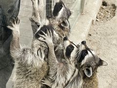 -水上乐园·欢乐世界