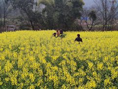 -樱桃山旅游景区