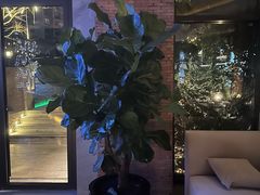 -浅深Cheersum(曹杨店)